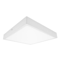 LED Plafonjera za kupatilo EGON LED/30W/230V IP44 3000K