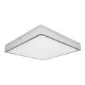 LED Plafonjera za kupatilo EGON LED/30W/230V IP44 4000K