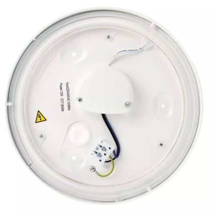 LED Plafonjera za kupatilo LED/12W/230V IP44