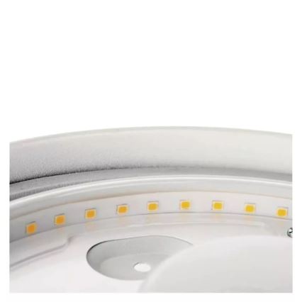 LED Plafonjera za kupatilo LED/12W/230V IP44