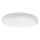 LED Plafonjera za kupatilo LED/18W/230V 6500K IP44 bela