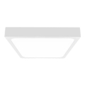 LED Plafonjera za kupatilo LED/18W/230V 6500K IP44 bela