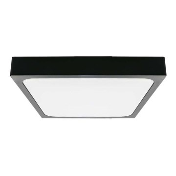 LED Plafonjera za kupatilo LED/18W/230V 6500K IP44 crno