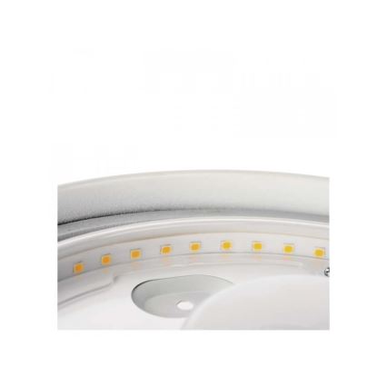 LED Plafonjera za kupatilo LED/18W/230V IP44