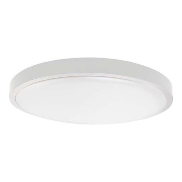 LED Plafonjera za kupatilo LED/24W/230V 3000K IP44 bela