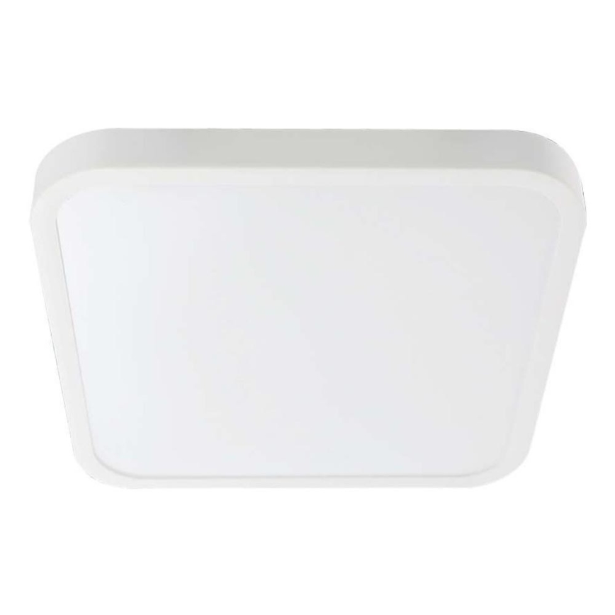 LED Plafonjera za kupatilo LED/24W/230V 3000K IP44 bela
