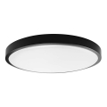 LED Plafonjera za kupatilo LED/24W/230V 3000K IP44 crno