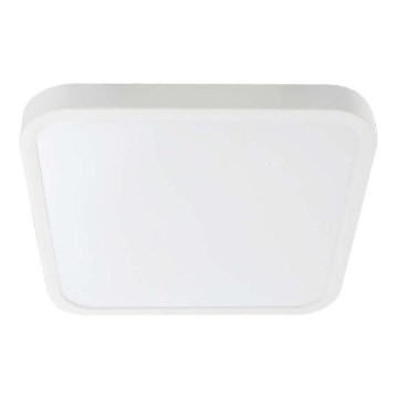 LED Plafonjera za kupatilo LED/24W/230V 4000K IP44 bela