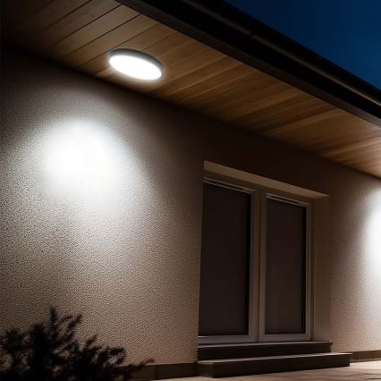 LED Plafonjera za kupatilo LED/24W/230V 4000K IP44 crno