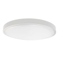 LED Plafonjera za kupatilo LED/24W/230V 6500K IP44 bela