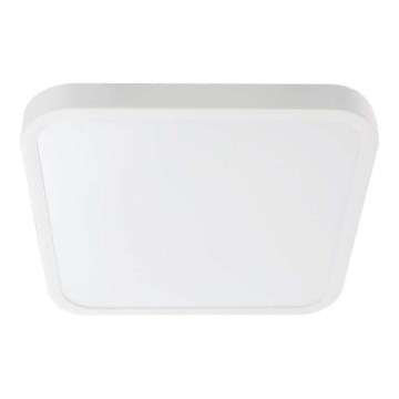 LED Plafonjera za kupatilo LED/24W/230V 6500K IP44 bela