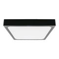LED Plafonjera za kupatilo LED/24W/230V 6500K IP44 crno