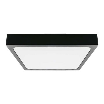 LED Plafonjera za kupatilo LED/24W/230V 6500K IP44 crno