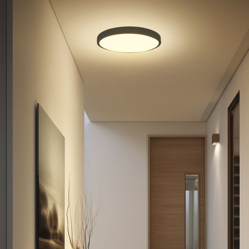 LED Plafonjera za kupatilo SAMSUNG CHIP LED/24W/230V IP44 6500K pr. 29 cm crno