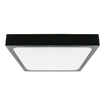 LED Plafonjera za kupatilo LED/30W/230V 3000K IP44 crno