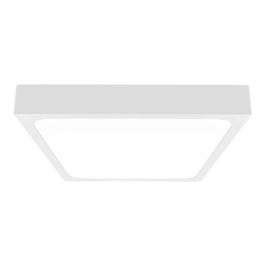 LED Plafonjera za kupatilo LED/30W/230V 4000K IP44 bela