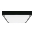 LED Plafonjera za kupatilo LED/30W/230V 4000K IP44 crno