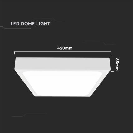 LED Plafonjera za kupatilo LED/30W/230V 6500K IP44 bela