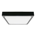 LED Plafonjera za kupatilo LED/30W/230V 6500K IP44 crno