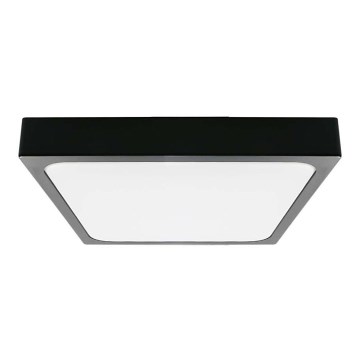 LED Plafonjera za kupatilo LED/30W/230V 6500K IP44 crno