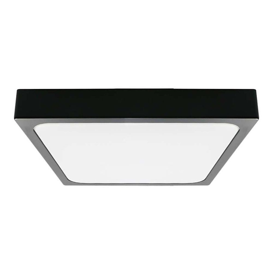 LED Plafonjera za kupatilo LED/30W/230V 6500K IP44 crno