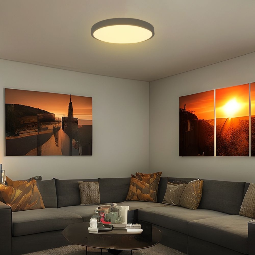 LED Plafonjera za kupatilo SAMSUNG CHIP LED/36W/230V IP44 4000K pr. 35 cm crno