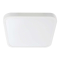 LED Plafonjera za kupatilo LED/48W/230V 3000K IP44 bela
