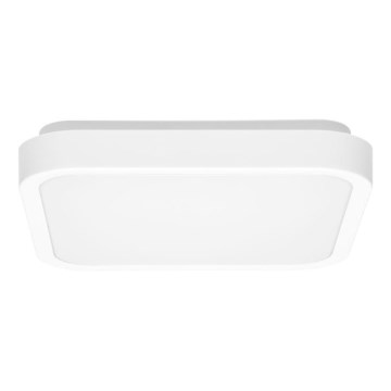 LED plafonjera za kupatilo LUKY LED/12W/230V 4000K 25x25 cm IP44 bela