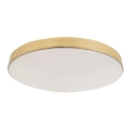 LED Plafonjera za kupatilo MAYA LED/15W/230V pr. 33 cm IP44 zlatna