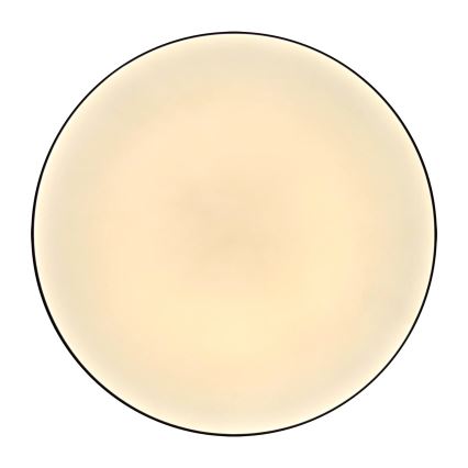 LED Plafonjera za kupatilo MOON LED/18W/230V crno IP44