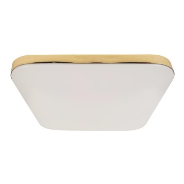 LED Plafonjera za kupatilo NEMO LED/17W/230V IP44 zlatna