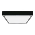 LED Plafonjera za kupatilo sa senzorom LED/18W/230V 4000K IP44 22,5x22,5 cm crno
