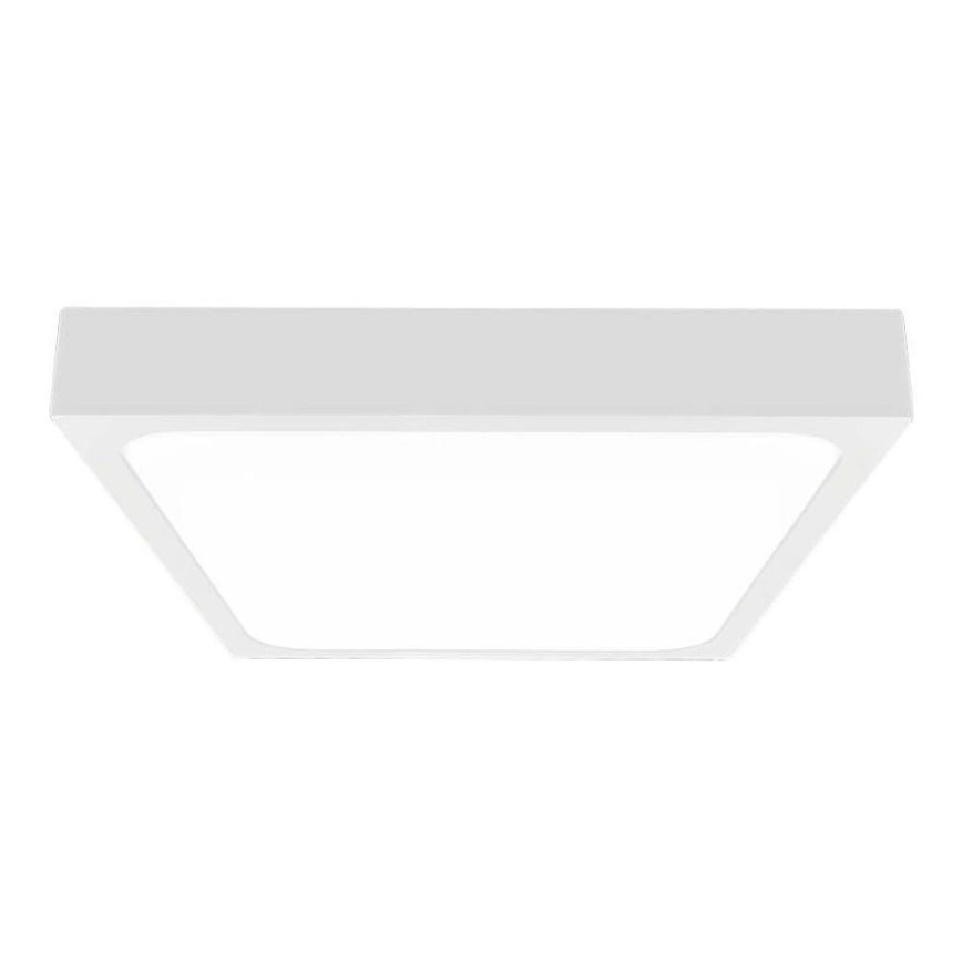 LED Plafonjera za kupatilo sa senzorom LED/24W/230V 4000K IP44 bela