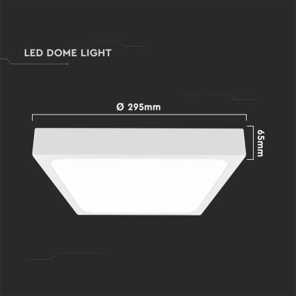 LED Plafonjera za kupatilo sa senzorom LED/24W/230V 4000K IP44 bela