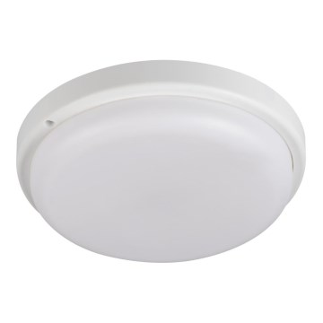 LED Plafonjera za kupatilo TOLU LED/18W/230V 4000K IP54 bela