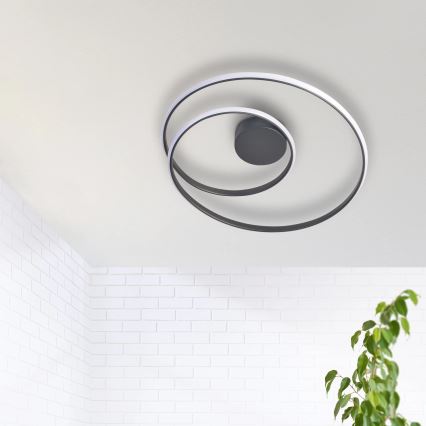 LED Plafonjera ZEFIRA LED/40W/230V 4000K pr. 50 cm antracit