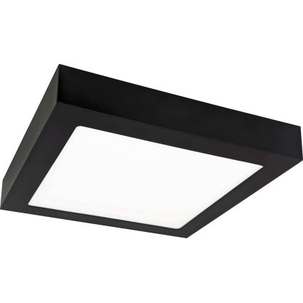 LED plafonsko svetlo FENIX LED/12W/230V 3800K 17 cm