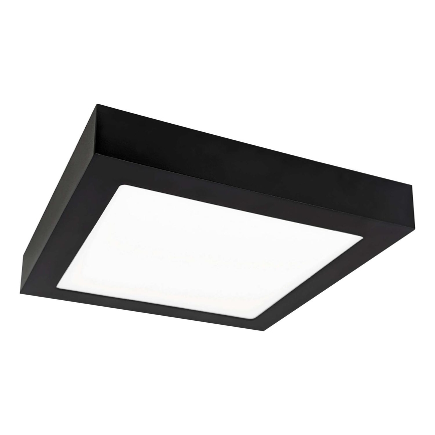 LED plafonsko svetlo FENIX LED/12W/230V 3800K 17 cm
