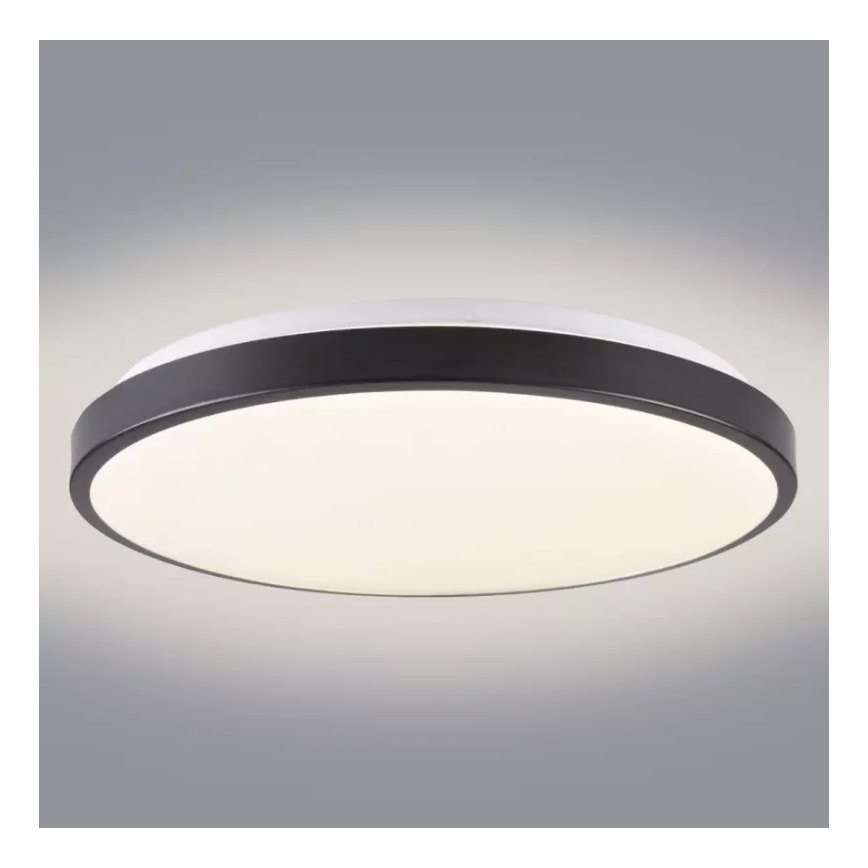 LED plafonsko svetlo KERN LED/24W/230V crno