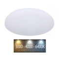 LED Plafonsko svetlo LED/12W/230V 26cm 3000K/4000K/6400K