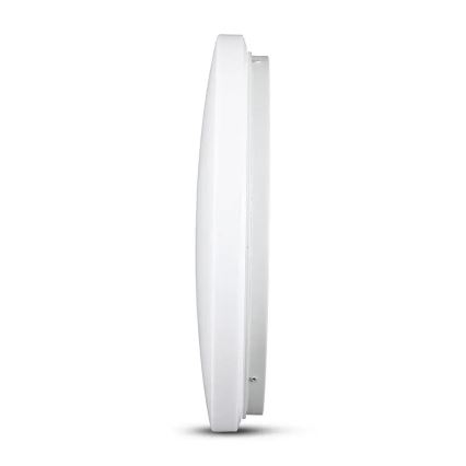 LED Plafonsko svetlo LED/12W/230V 26cm 3000K/4000K/6400K