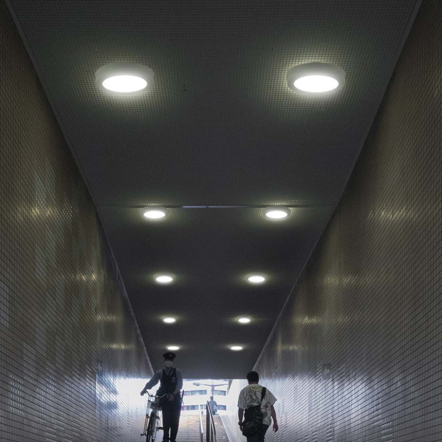 LED plafonsko svetlo LED/12W/230V 3000K prečnik 16,7 cm belo