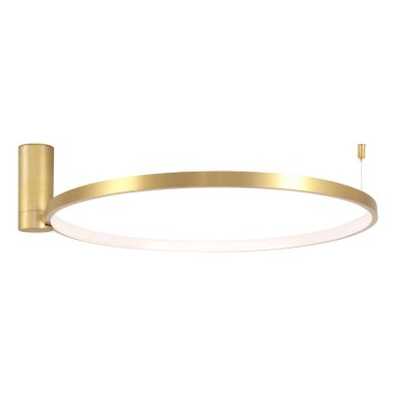 LED plafonsko svetlo NOEMI LED/20W/230V 4000K, prečnik 50 cm, zlatne boje