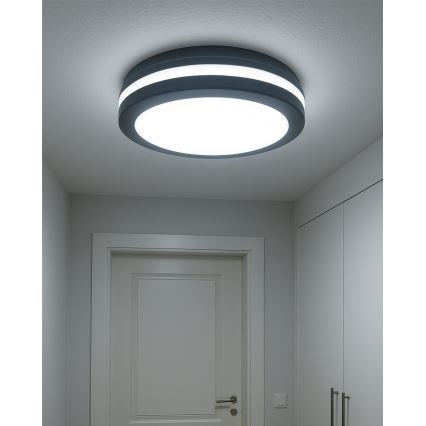 LED stropno svetlo sa senzorom pokreta LED/20W/230V 3000/4000/6500K prečnik 230 cm IP54 antracit