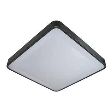 LED plafonsko svetlo sa senzorom WILTON LED/24W/230V 37,5x37,5 cm antracit