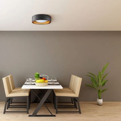 LED plafonsko svetlo TULUZA LED/18W/230V prečnik 32 cm crno