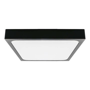 LED plafonsko svetlo za kupatilo LED/30W/230V 4000K IP44 42x42 cm crna