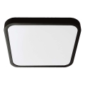 LED plafonsko svetlo za kupatilo LED/48W/230V 3000K IP44 42x42 cm crno