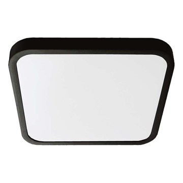 LED plafonsko svetlo za kupatilo LED/48W/230V 6500K IP44 42x42 cm crna