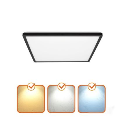 LED plafonsko svetlo za kupatilo NIVERA LED/12W/230V IP54 3000/4000/6000K 22,5x22,5 cm crna